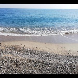 Meet your Posher, Rose